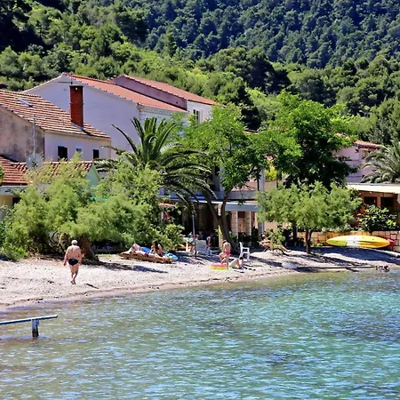 And By The Sea Zuljana, Peljesac - 3164 ゲストハウス Žuljana